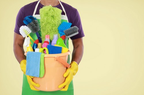 Professional carpet cleaning in a Balham home