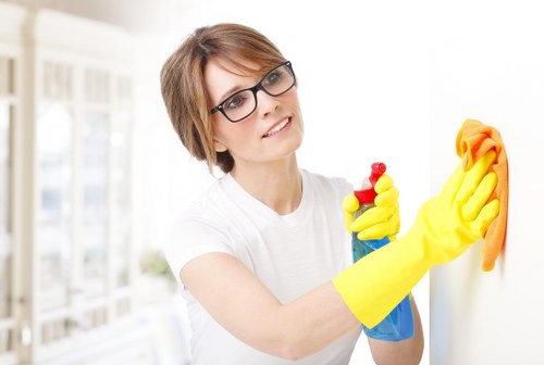 Professional window cleaning in Balham on a residential property