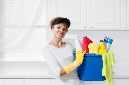 Seasonal domestic cleaning for a Balham household