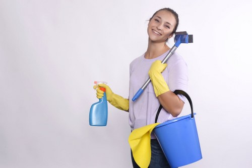 Customer support review during a carpet cleaning complaint