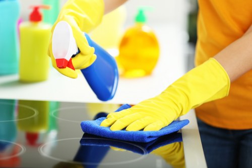 Sustainable carpet cleaning team with recyclable materials