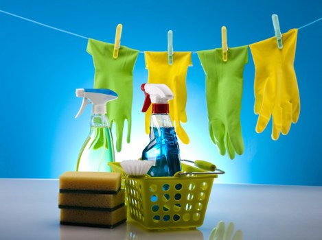 Professional carpet cleaning staff trained in safety procedures